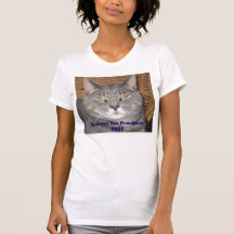 Stanley for President 2008 Tshirts