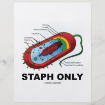 Staph Only (Prokaryote Health Medicine Humour) Full Colour Flyer