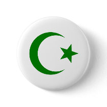 Star and Crescent Pin