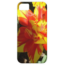 Star Burst Tulip iPhone Case