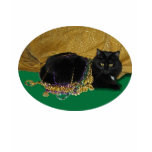 Star Cat with Beads t-shirts