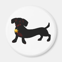 Star Doxie Magnet