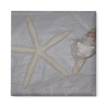 Star Fish and Seashell Refrigerator Magnets