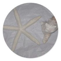 Star Fish and Seashell Round Sticker