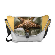 star fish messenger bag