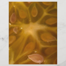 star fruit flyers