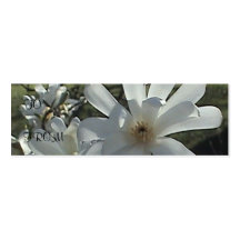Star Magnolia Profile Card Business Card Template