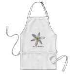 Star of Bethlehem ~ apron