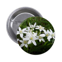 Star of Bethlehem ~ button