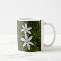 Star of Bethlehem flower mug