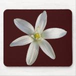 Star of Bethlehem ~ mousepad
