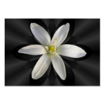 Star of Bethlehem shadow ~ ATC Business Cards