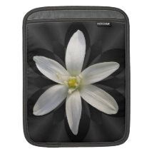 Star of Bethlihem ~ iPad Sleeve