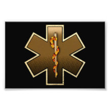 Star Of Life(Browns) Photograph