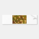 Star Patterns Bumper Stickers