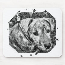 Star Pup Mouse Pads