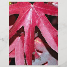 Star shaped pink leaves flyers