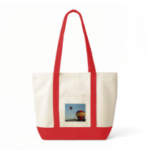 Star spangled flying machines, xlta canvas bag