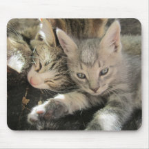Stardust Kittens Mousepad