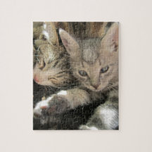 Stardust Kittens Puzzles