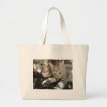 Stardust Kittens Tote Bags