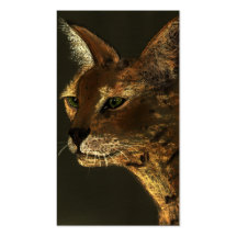 stare down - caracal business card template