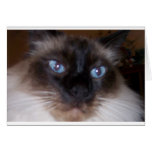 Stare Into My Eyes Card