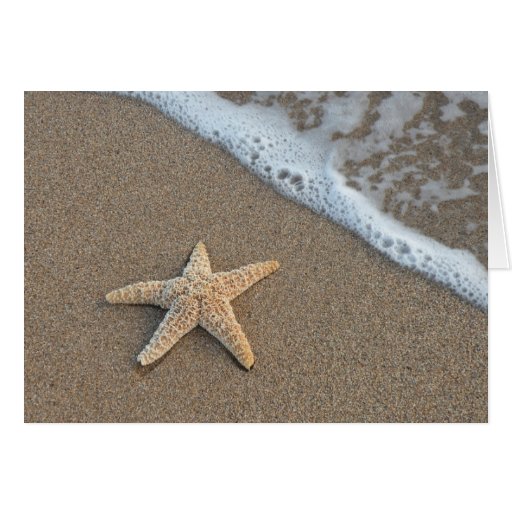 Starfish by the beach cards