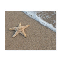 Starfish by the beach postcard