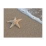 Starfish by the beach postcard