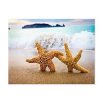 starfish couple postcard