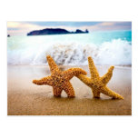 starfish couple postcard
