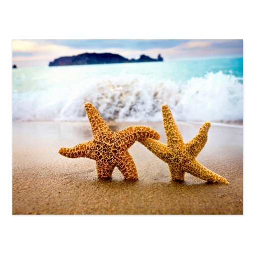 starfish couple postcard