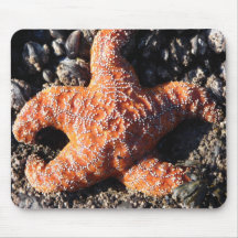 Starfish Mouse Pad
