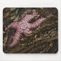 Starfish Mousepad