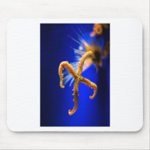starfish mousepad