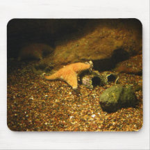 Starfish Mousepad