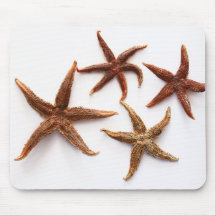 starfish Mousepad