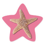 Starfish on pantone Honeysuckle 2011