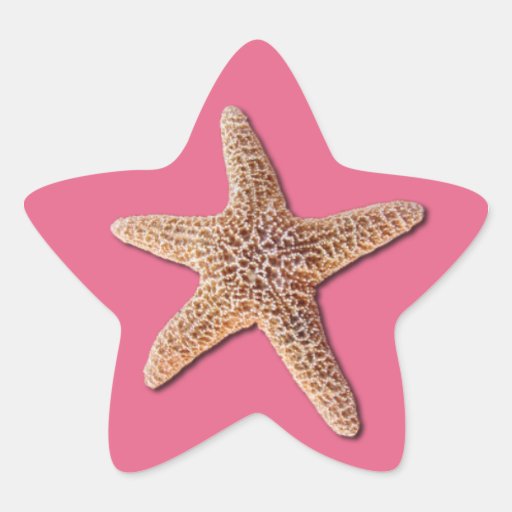 Starfish on pantone Honeysuckle 2011 Stickers