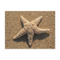 Starfish on the beach post cards