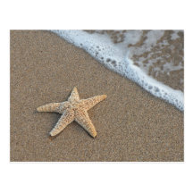 Starfish on the beach postcard