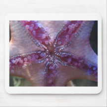 starfish,pink mouse pads