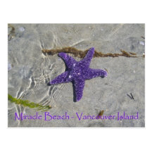 Starfish Post Cards