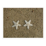 STARFISH POST CARDS