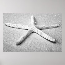 Starfish Poster
