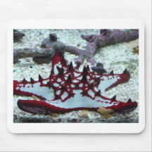starfish,red and white mouse mat