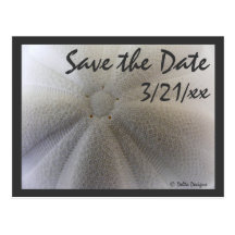 Starfish Save the Date Postcard