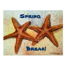 starfish, Spring, Break! Postcard
