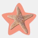 Starfish Sticker - Peach